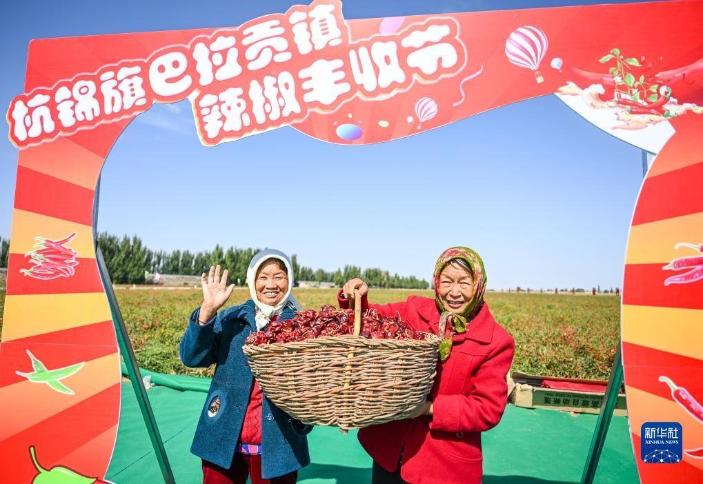 开心川麻在线客服